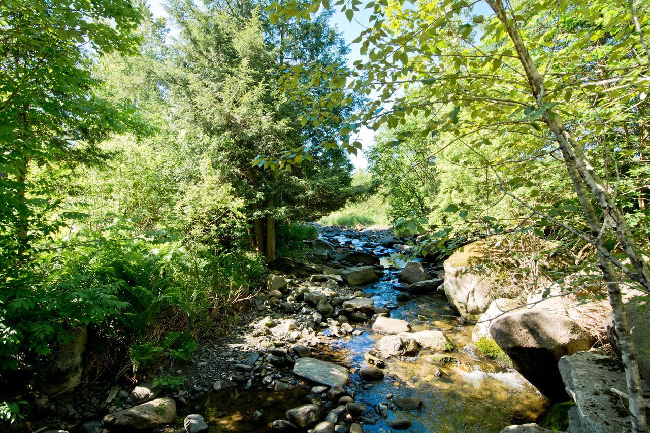 Camping Chalets Spas Pignons Rouges Saint Romain Eksteriør billede