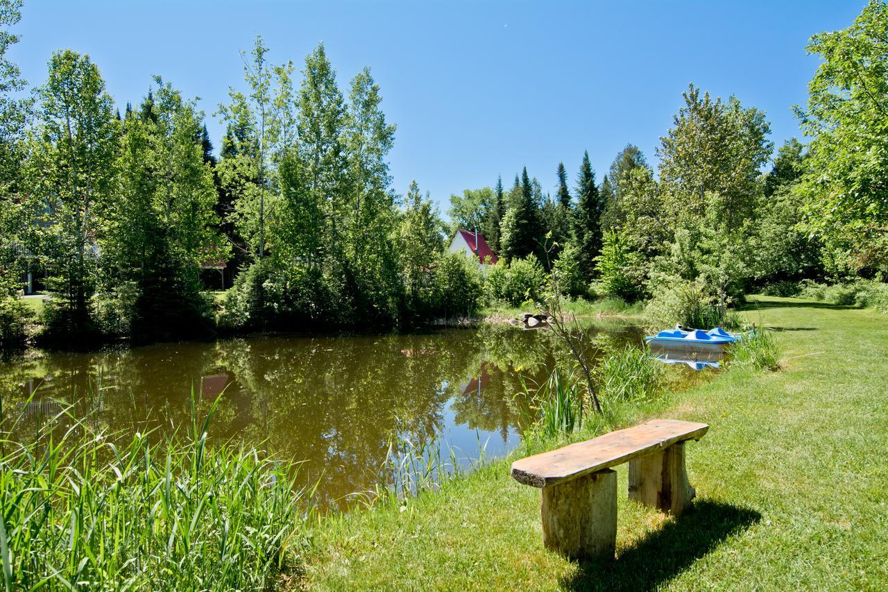 Camping Chalets Spas Pignons Rouges Saint Romain Eksteriør billede