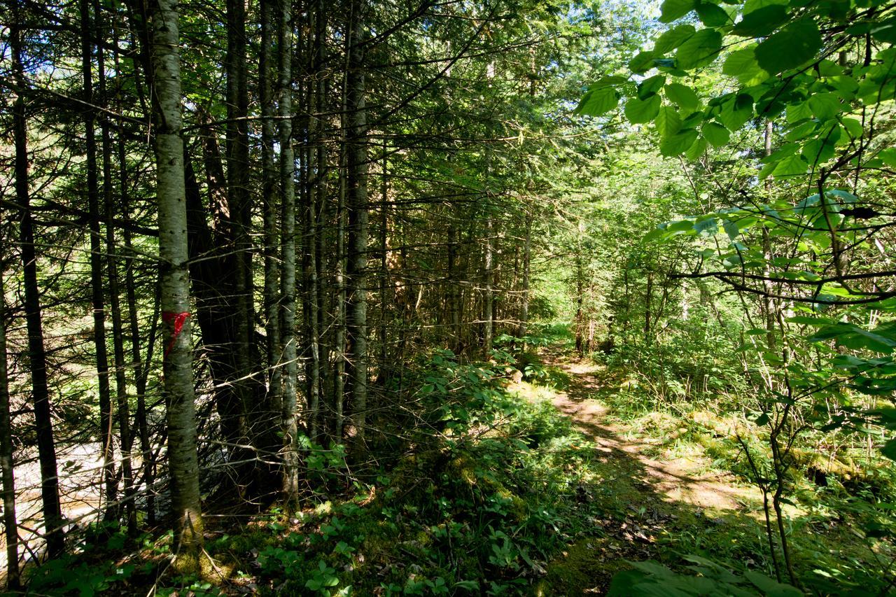 Camping Chalets Spas Pignons Rouges Saint Romain Eksteriør billede